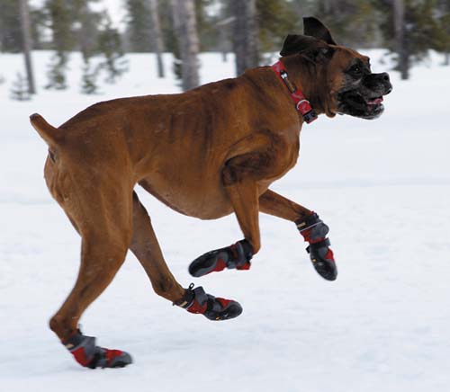 Ruffwear Polar Trex hondenschoentjes voor wintersport met uw hond