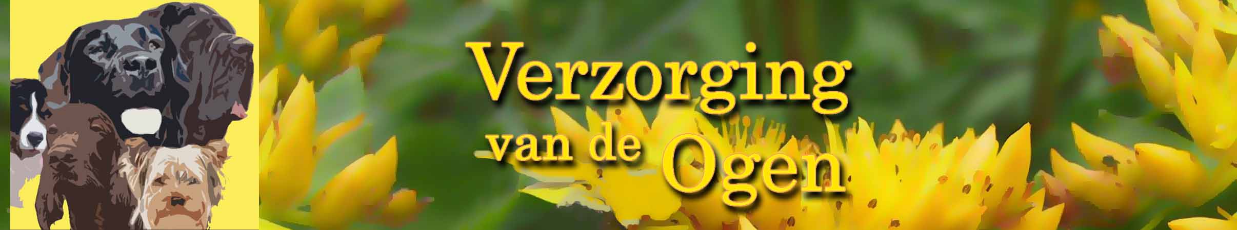 Oogontsteking bij de hond, bindvliesontsteking of oogirritatie behandelen met Homeopathie