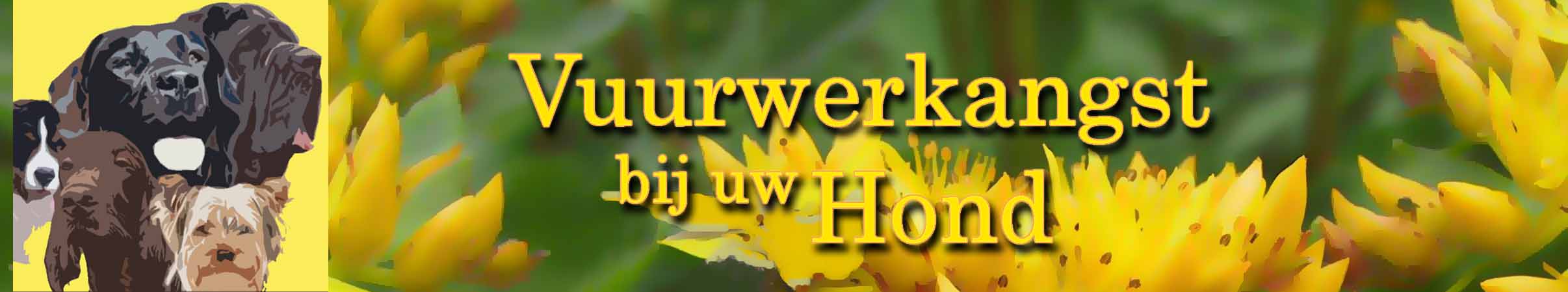 Vuurwerkangst, angst en nervositeit bij honden behandelen met homeopathie